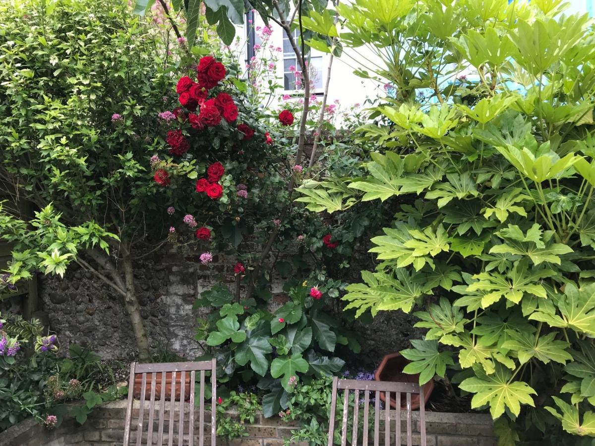 Amazing Apartment, Private Garden, Off Street Parking Okręg wyborczy Hove Zewnętrze zdjęcie